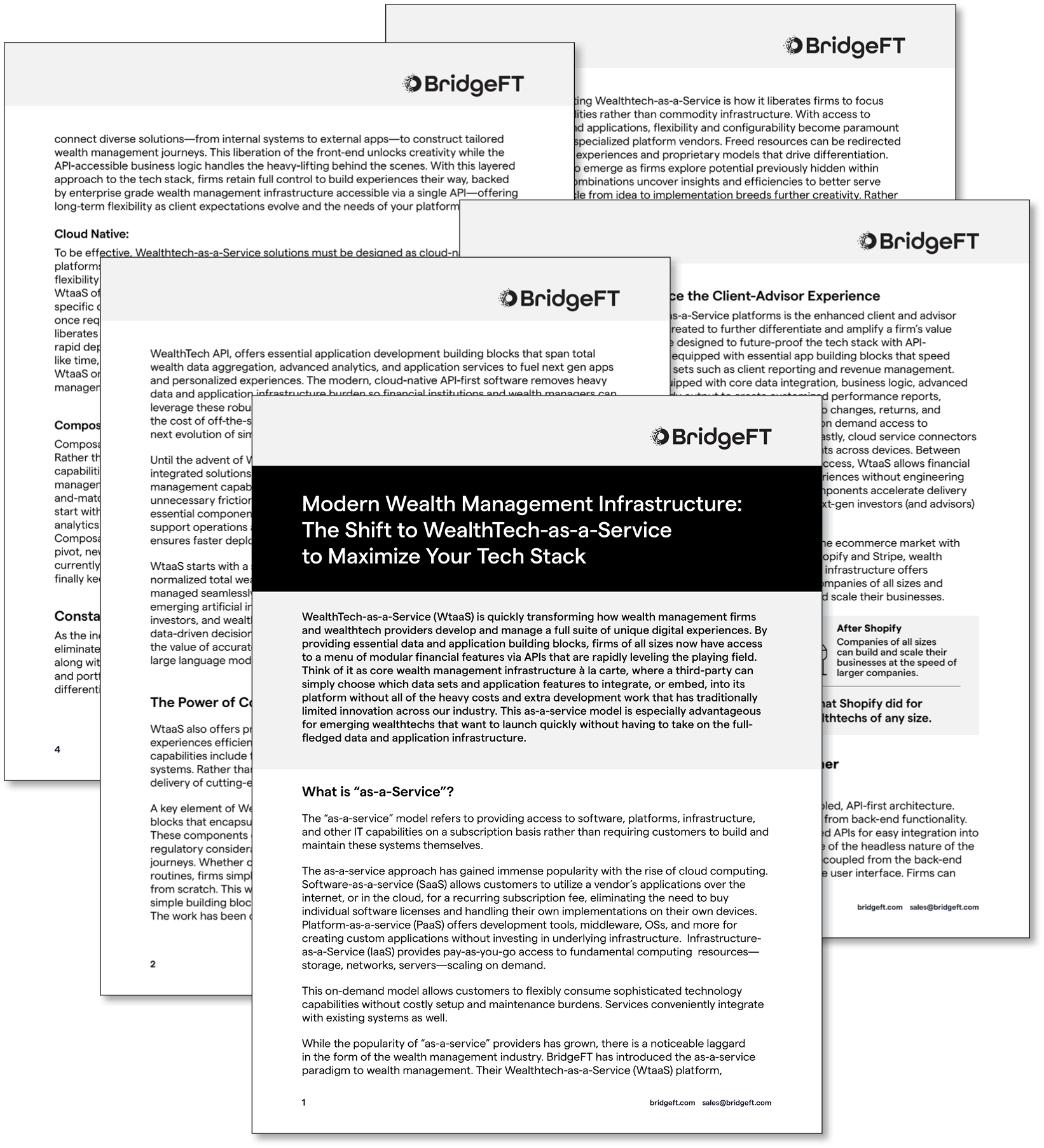 Future Wealth Mgmt_mini mock-up (1)